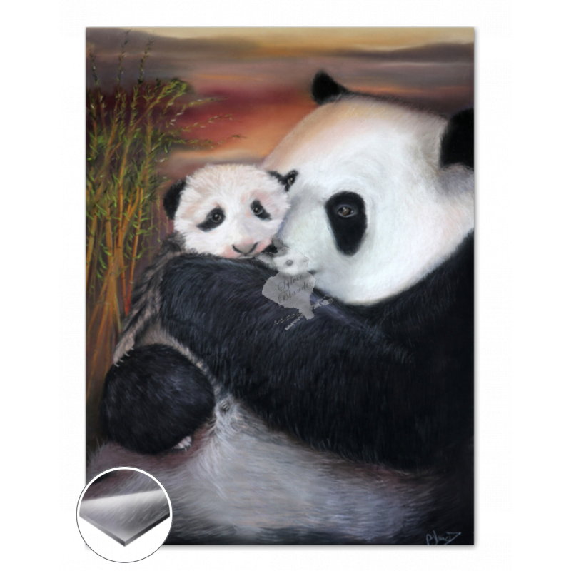 Câlin de pandas - Impression plexiglas