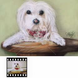 Portrait animalier d'après photo  aux pastels secs 24x30 cm