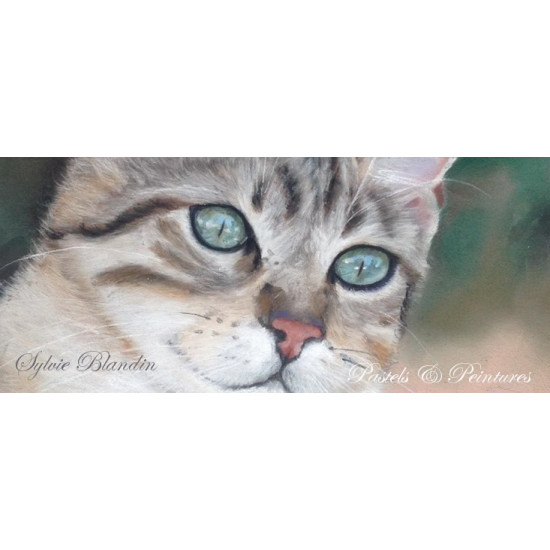 Portrait animalier d'après photo  aux pastels secs 24x30 cm