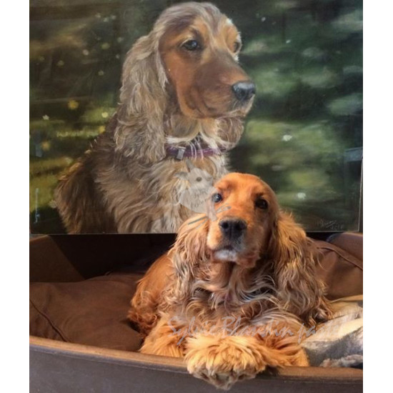 Portrait sur commande pastels secs - Gd format 50X70 cm