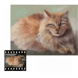 Portrait animalier d'après photo  aux pastels secs 24x30 cm
