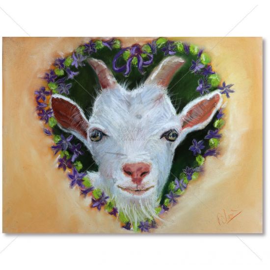 Un amour de petite chèvre